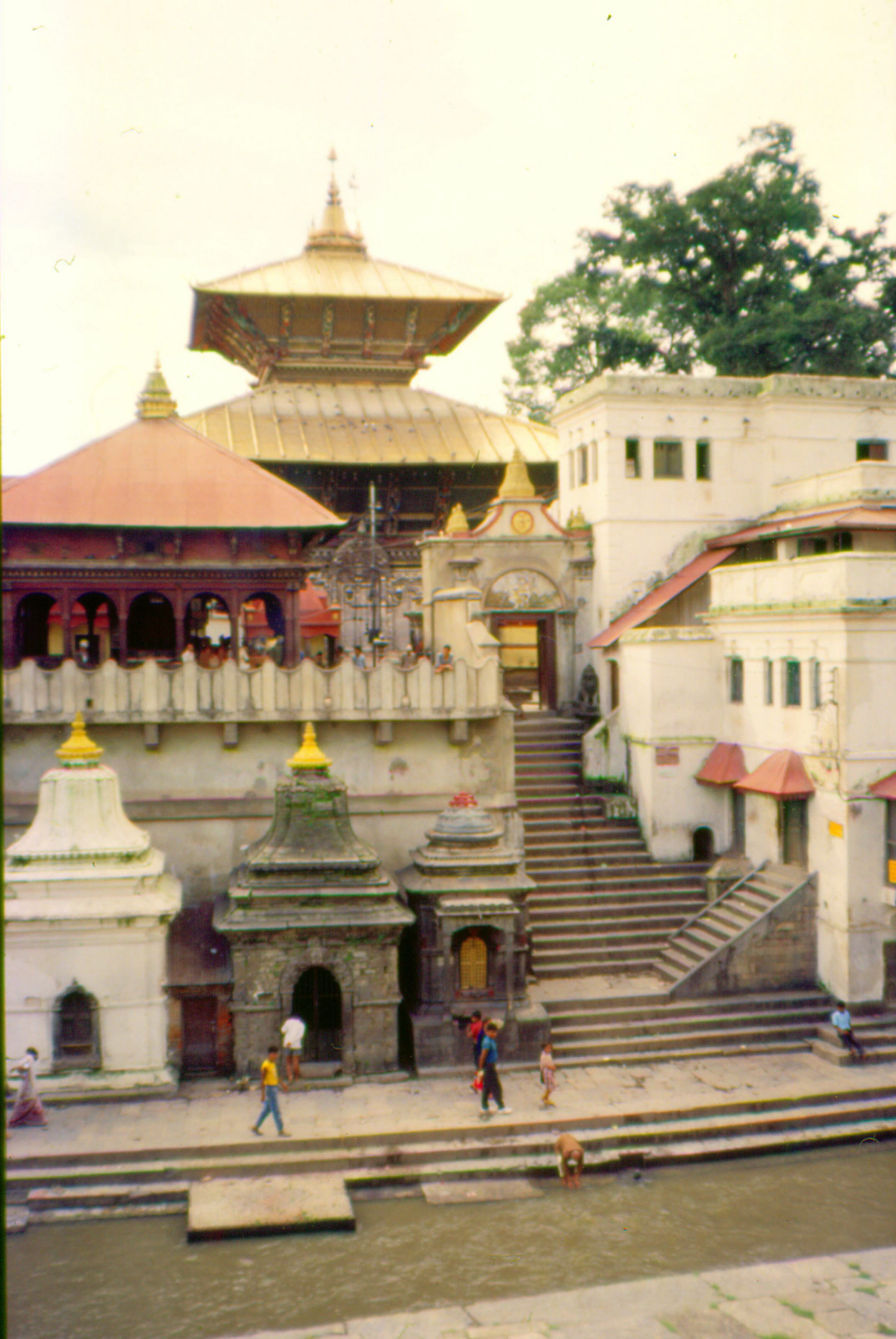 Pachupatinath (2)