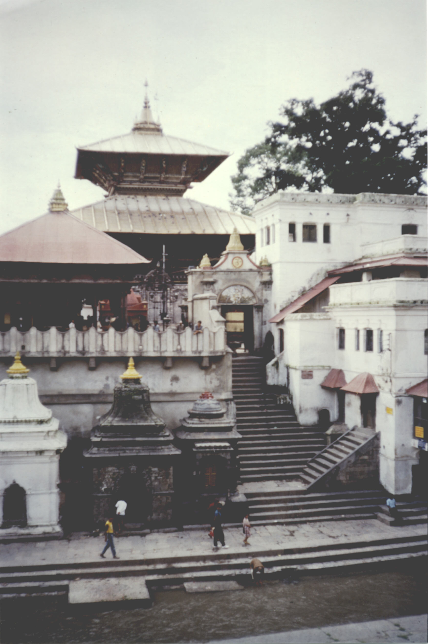 Pachupatinath (3)