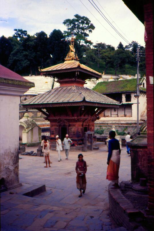 Pachupatinath (7)