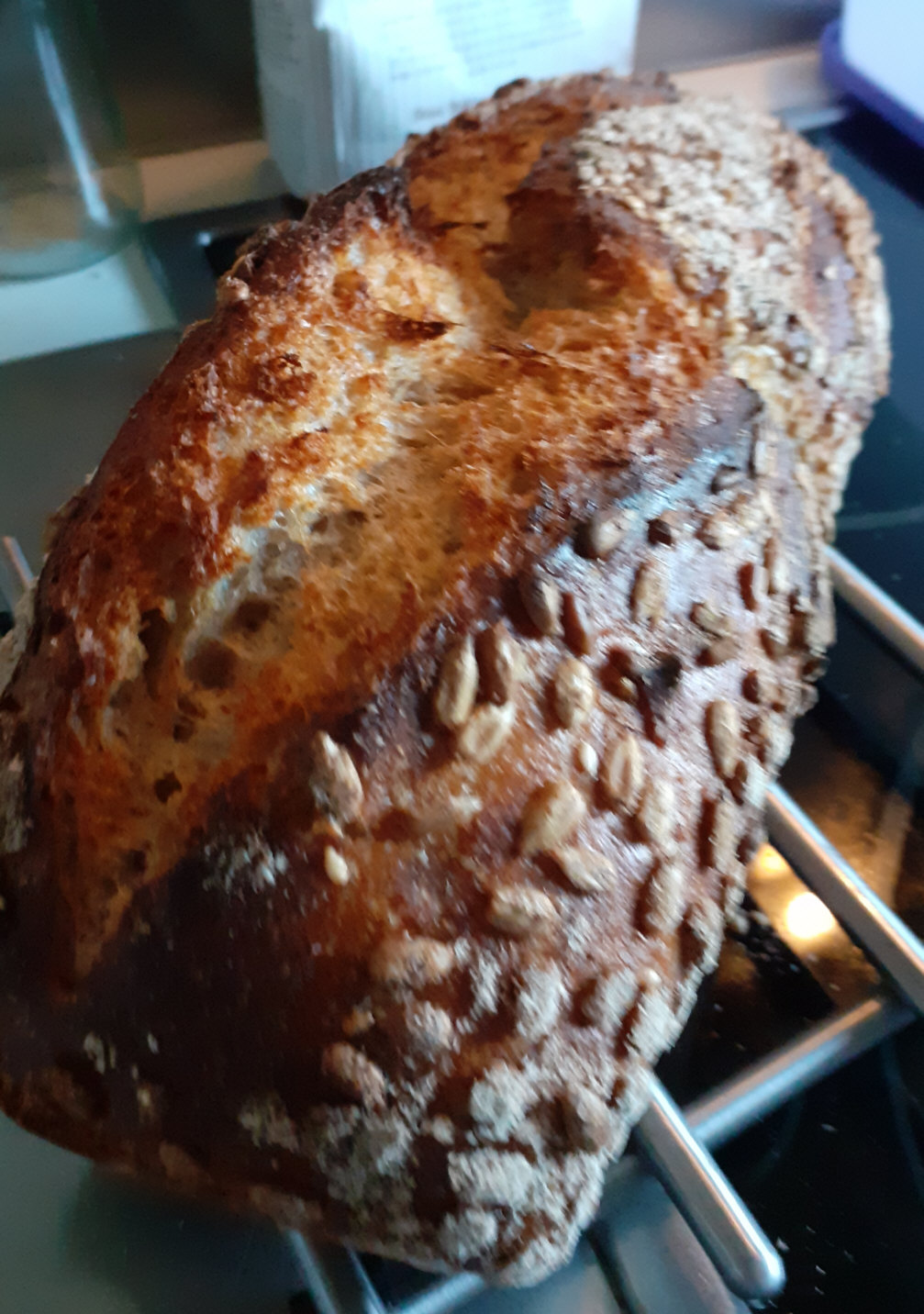 brotsauerganz