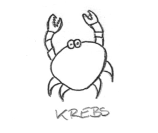 krebs